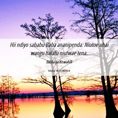 Picture 06 - Yohana 10:17 SWHULB - Hii ndiyo sababu Baba ananipenda: Niutoe uhai - Bible Verse Picture
