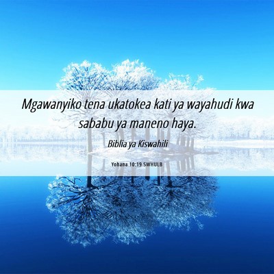 Picture 06 - Yohana 10:19 SWHULB - Mgawanyiko tena ukatokea kati ya wayahudi kwa - Bible Verse Picture