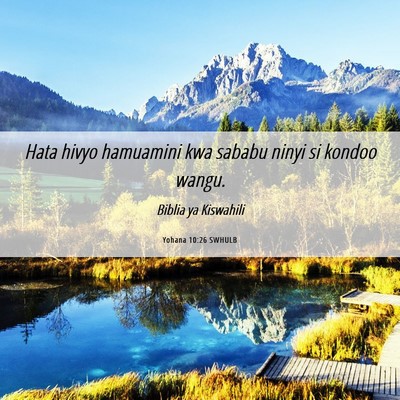 Picture 06 - Yohana 10:26 SWHULB - Hata hivyo hamuamini kwa sababu ninyi si kondoo - Bible Verse Picture