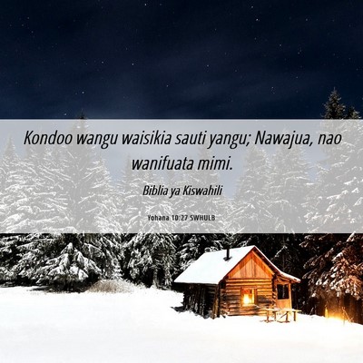 Picture 06 - Yohana 10:27 SWHULB - Kondoo wangu waisikia sauti yangu; Nawajua, nao - Bible Verse Picture