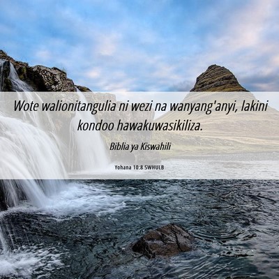 Picture 06 - Yohana 10:8 SWHULB - Wote walionitangulia ni wezi na wanyang'anyi, - Bible Verse Picture
