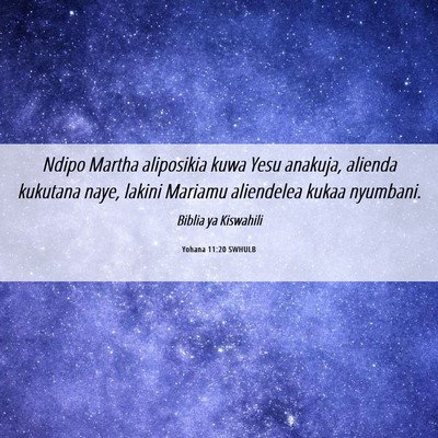 Picture 06 - Yohana 11:20 SWHULB - Ndipo Martha aliposikia kuwa Yesu anakuja, - Bible Verse Picture