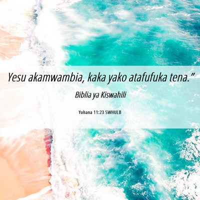 Picture 06 - Yohana 11:23 SWHULB - Yesu akamwambia, kaka yako atafufuka - Bible Verse Picture
