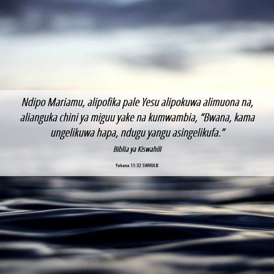 Picture 06 - Yohana 11:32 SWHULB - Ndipo Mariamu, alipofika pale Yesu alipokuwa - Bible Verse Picture