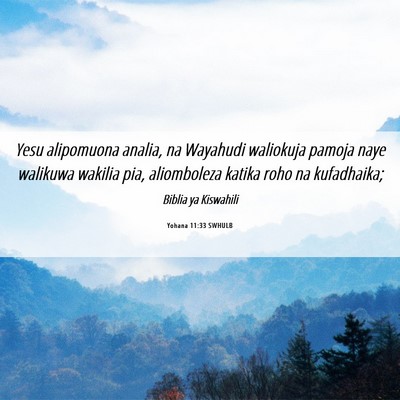 Picture 06 - Yohana 11:33 SWHULB - Yesu alipomuona analia, na Wayahudi waliokuja - Bible Verse Picture