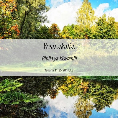 Picture 06 - Yohana 11:35 SWHULB - Yesu - Bible Verse Picture