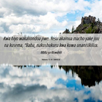 Picture 06 - Yohana 11:41 SWHULB - Kwa hiyo wakaliondoa jiwe. Yesu akainua macho - Bible Verse Picture
