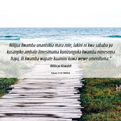 Picture 06 - Yohana 11:42 SWHULB - Nilijua kwamba unanisikia mara zote, lakini ni - Bible Verse Picture