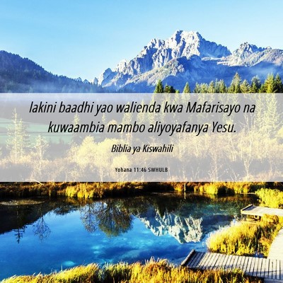 Picture 06 - Yohana 11:46 SWHULB - lakini baadhi yao walienda kwa Mafarisayo na - Bible Verse Picture