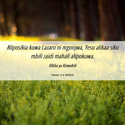 Picture 06 - Yohana 11:6 SWHULB - Aliposikia kuwa Lazaro ni mgonjwa, Yesu alikaa - Bible Verse Picture