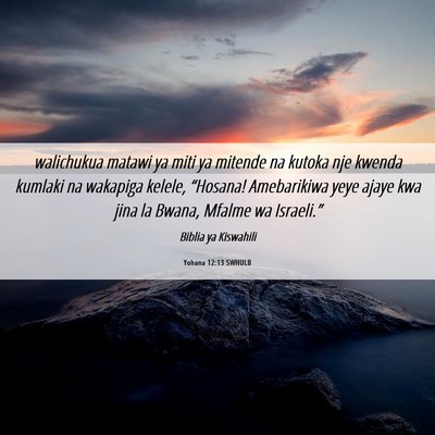 Picture 06 - Yohana 12:13 SWHULB - walichukua matawi ya miti ya mitende na kutoka - Bible Verse Picture
