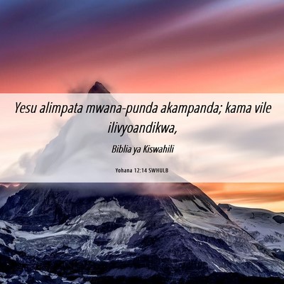 Picture 06 - Yohana 12:14 SWHULB - Yesu alimpata mwana-punda akampanda; kama vile - Bible Verse Picture