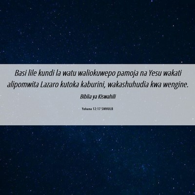 Picture 06 - Yohana 12:17 SWHULB - Basi lile kundi la watu waliokuwepo pamoja na - Bible Verse Picture