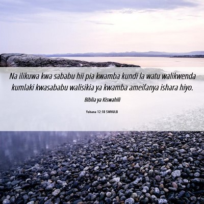 Picture 06 - Yohana 12:18 SWHULB - Na ilikuwa kwa sababu hii pia kwamba kundi la - Bible Verse Picture