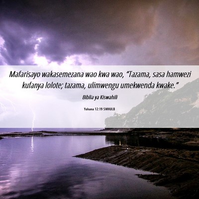 Picture 06 - Yohana 12:19 SWHULB - Mafarisayo wakasemezana wao kwa wao, “Tazama, - Bible Verse Picture
