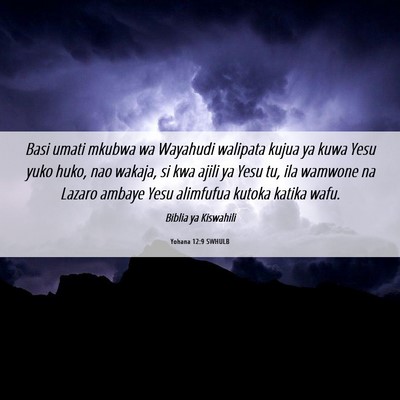 Picture 06 - Yohana 12:9 SWHULB - Basi umati mkubwa wa Wayahudi walipata kujua ya - Bible Verse Picture