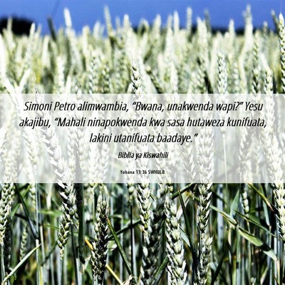 Picture 06 - Yohana 13:36 SWHULB - Simoni Petro alimwambia, “Bwana, unakwenda - Bible Verse Picture