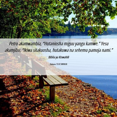 Picture 06 - Yohana 13:8 SWHULB - Petro akamwambia, “Hutaniosha miguu yangu - Bible Verse Picture