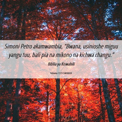 Picture 06 - Yohana 13:9 SWHULB - Simoni Petro akamwambia, “Bwana, usinioshe - Bible Verse Picture
