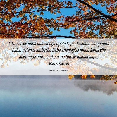 Picture 06 - Yohana 14:31 SWHULB - lakini ili kwamba ulimwengu upate kujua kwamba - Bible Verse Picture