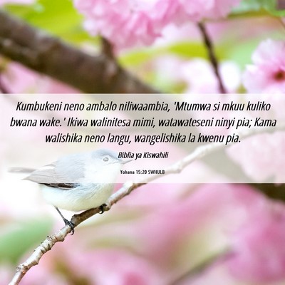 Picture 06 - Yohana 15:20 SWHULB - Kumbukeni neno ambalo niliwaambia, 'Mtumwa si - Bible Verse Picture