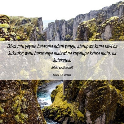 Picture 06 - Yohana 15:6 SWHULB - Ikiwa mtu yeyote hatasalia ndani yangu, atatupwa - Bible Verse Picture