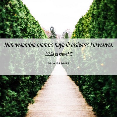 Picture 06 - Yohana 16:1 SWHULB - Nimewaambia mambo haya ili msiweze - Bible Verse Picture
