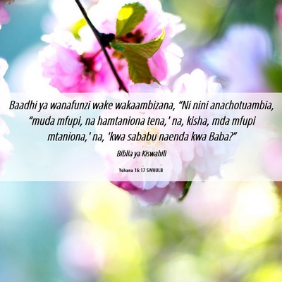 Picture 06 - Yohana 16:17 SWHULB - Baadhi ya wanafunzi wake wakaambizana, “Ni nini - Bible Verse Picture
