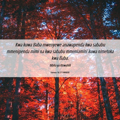 Picture 06 - Yohana 16:27 SWHULB - Kwa kuwa Baba mwenyewe anawapenda kwa sababu - Bible Verse Picture