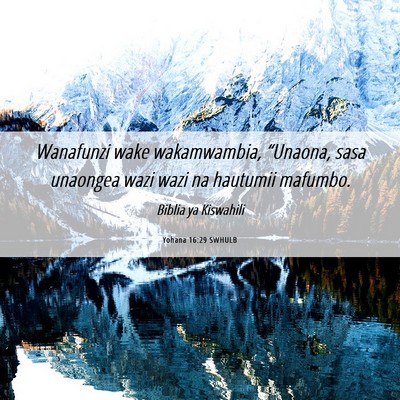 Picture 06 - Yohana 16:29 SWHULB - Wanafunzi wake wakamwambia, “Unaona, sasa - Bible Verse Picture