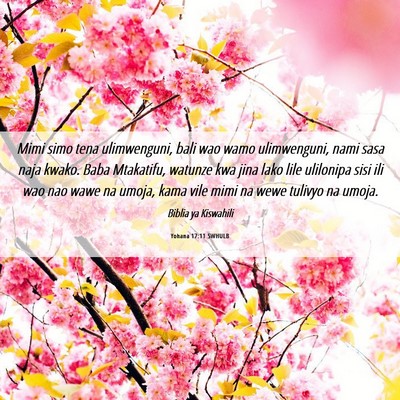 Picture 06 - Yohana 17:11 SWHULB - Mimi simo tena ulimwenguni, bali wao wamo - Bible Verse Picture