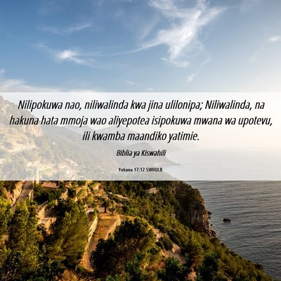 Picture 06 - Yohana 17:12 SWHULB - Nilipokuwa nao, niliwalinda kwa jina ulilonipa; - Bible Verse Picture
