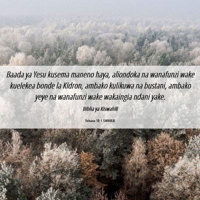 Picture 06 - Yohana 18:1 SWHULB - Baada ya Yesu kusema maneno haya, aliondoka na - Bible Verse Picture