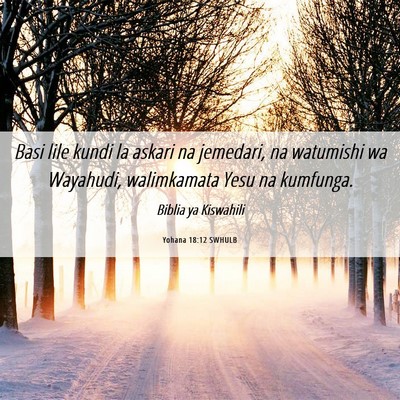 Picture 06 - Yohana 18:12 SWHULB - Basi lile kundi la askari na jemedari, na - Bible Verse Picture