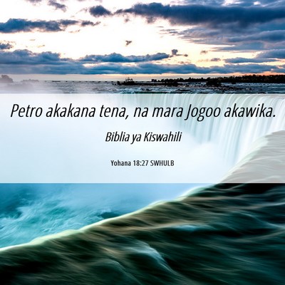 Picture 06 - Yohana 18:27 SWHULB - Petro akakana tena, na mara Jogoo - Bible Verse Picture