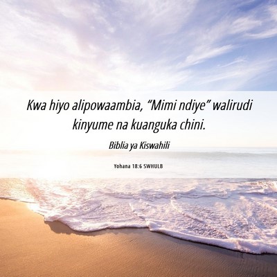 Picture 06 - Yohana 18:6 SWHULB - Kwa hiyo alipowaambia, “Mimi ndiye” walirudi - Bible Verse Picture