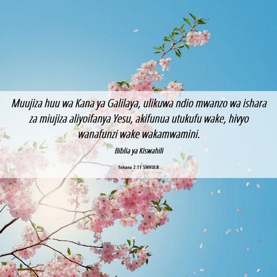 Picture 06 - Yohana 2:11 SWHULB - Muujiza huu wa Kana ya Galilaya, ulikuwa ndio - Bible Verse Picture