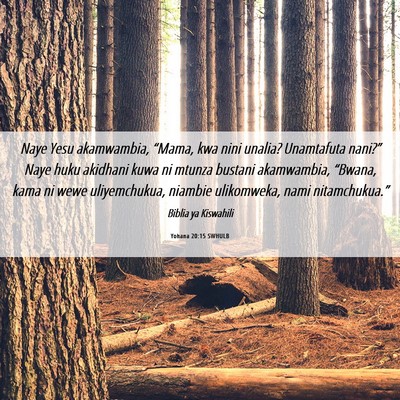 Picture 06 - Yohana 20:15 SWHULB - Naye Yesu akamwambia, “Mama, kwa nini unalia? - Bible Verse Picture