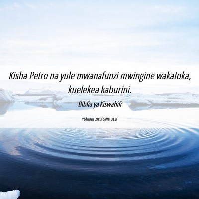 Picture 06 - Yohana 20:3 SWHULB - Kisha Petro na yule mwanafunzi mwingine wakatoka, - Bible Verse Picture