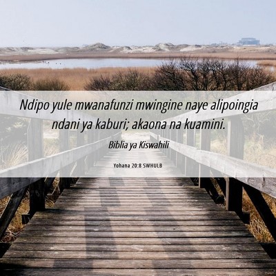 Picture 06 - Yohana 20:8 SWHULB - Ndipo yule mwanafunzi mwingine naye alipoingia - Bible Verse Picture