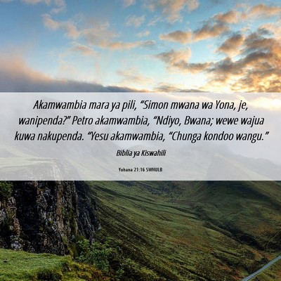 Picture 06 - Yohana 21:16 SWHULB - Akamwambia mara ya pili, “Simon mwana wa Yona, - Bible Verse Picture