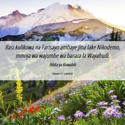 Picture 06 - Yohana 3:1 SWHULB - Basi kulikuwa na Farisayo ambaye jina lake - Bible Verse Picture
