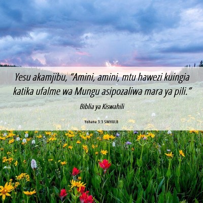 Picture 06 - Yohana 3:3 SWHULB - Yesu akamjibu, “Amini, amini, mtu hawezi - Bible Verse Picture