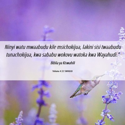 Picture 06 - Yohana 4:22 SWHULB - Ninyi watu mwaabudu kile msichokijua, lakini sisi - Bible Verse Picture