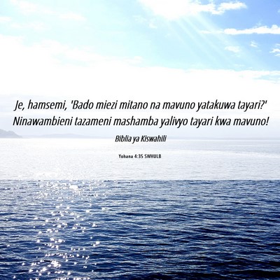 Picture 06 - Yohana 4:35 SWHULB - Je, hamsemi, 'Bado miezi mitano na mavuno - Bible Verse Picture