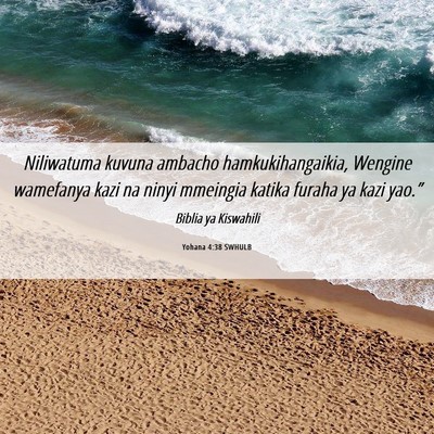 Picture 06 - Yohana 4:38 SWHULB - Niliwatuma kuvuna ambacho hamkukihangaikia, - Bible Verse Picture