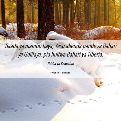 Picture 06 - Yohana 6:1 SWHULB - Baada ya mambo haya, Yesu alienda pande za Bahari - Bible Verse Picture