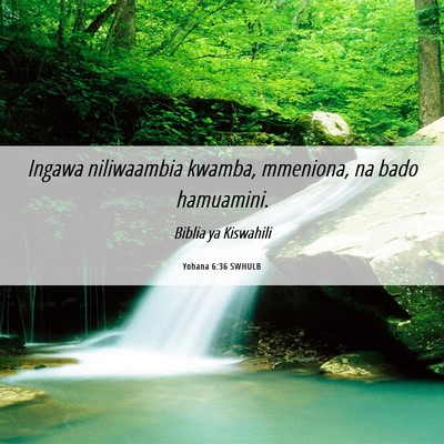Picture 06 - Yohana 6:36 SWHULB - Ingawa niliwaambia kwamba, mmeniona, na bado - Bible Verse Picture