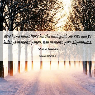 Picture 06 - Yohana 6:38 SWHULB - Kwa kuwa nimeshuka kutoka mbinguni, sio kwa ajili - Bible Verse Picture