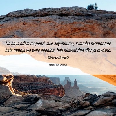 Picture 06 - Yohana 6:39 SWHULB - Na haya ndiyo mapenzi yake aliyenituma, kwamba - Bible Verse Picture